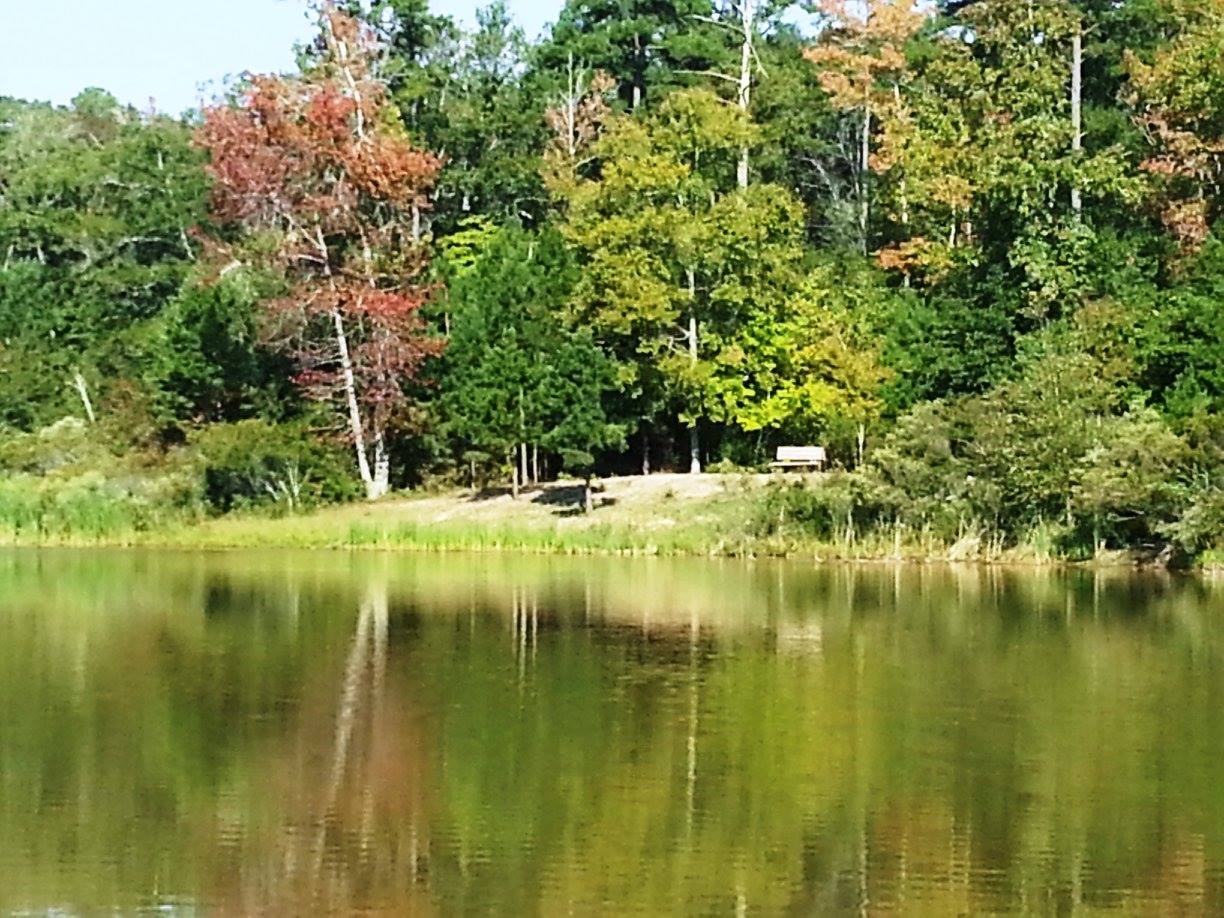 Faulkner Lake Faulkner Lake